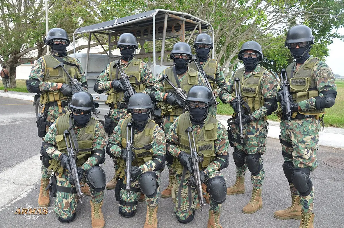 Senado aprueba Ley de Seguridad Interior7