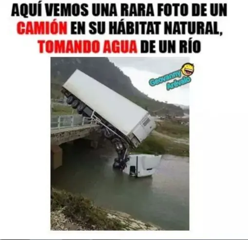 imagenes de risa