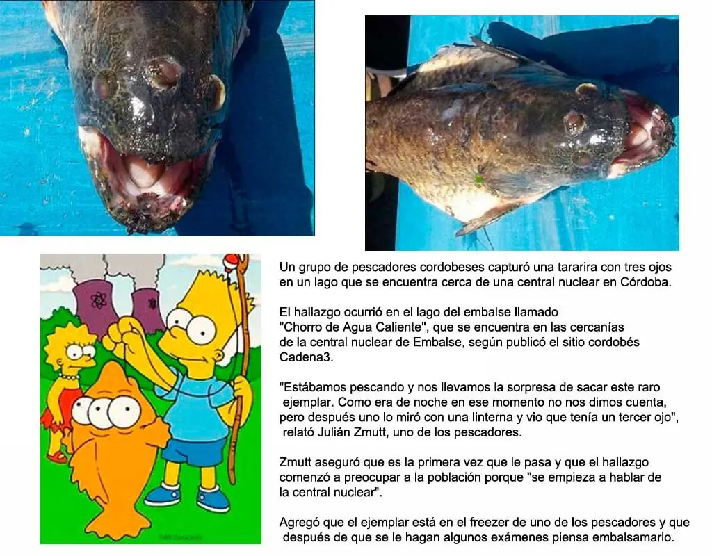 nuevas especies