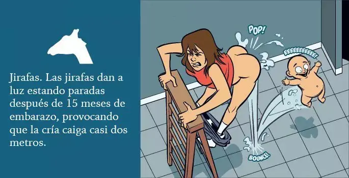 Luz