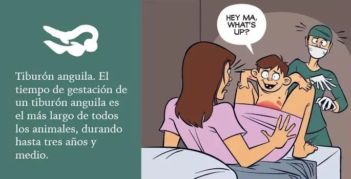 Humanos