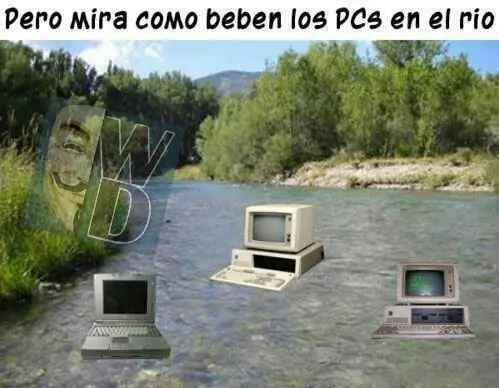 taringa memes