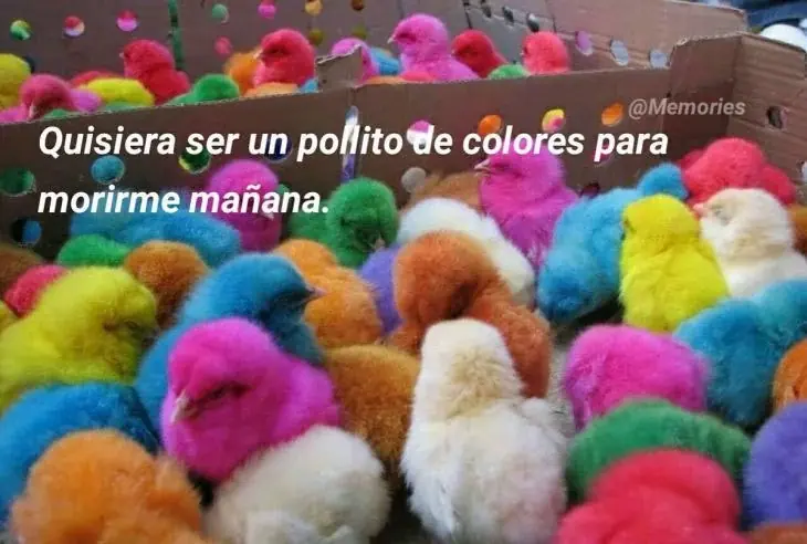 15 Chistes que solo entenderás si te gusta el humor negro