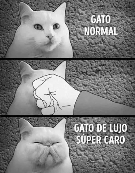 Humor