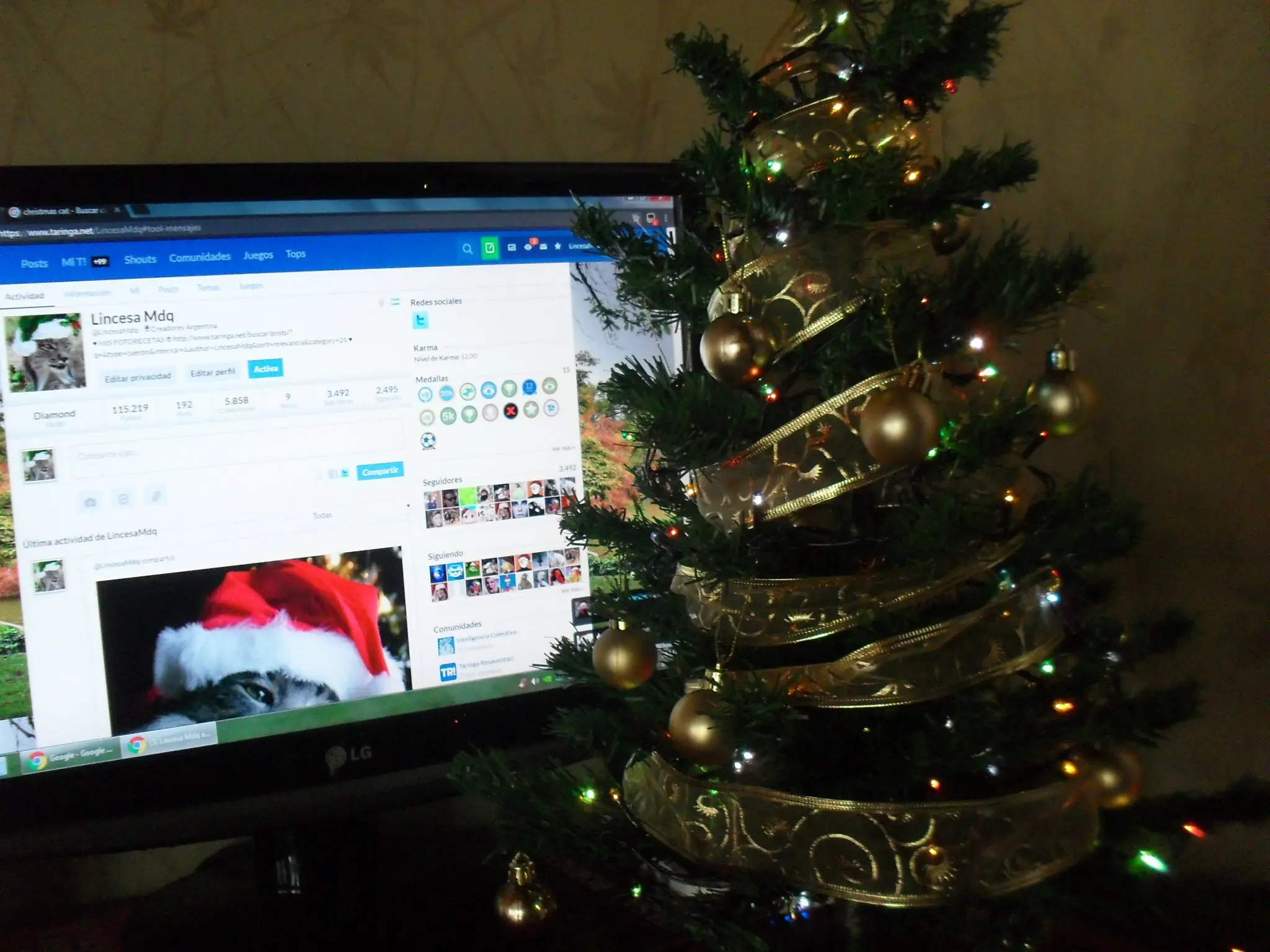 Christmas decoration