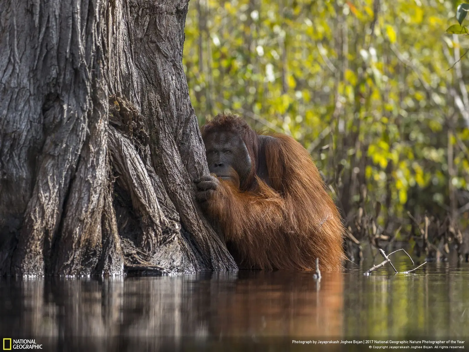 National Geographic