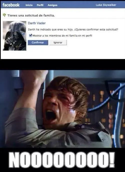 solo solo