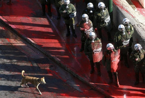 Un verdadero perro fiel, Louk, el perro insurrecto Un verdadero perro fiel, Louk, el perro insurrecto