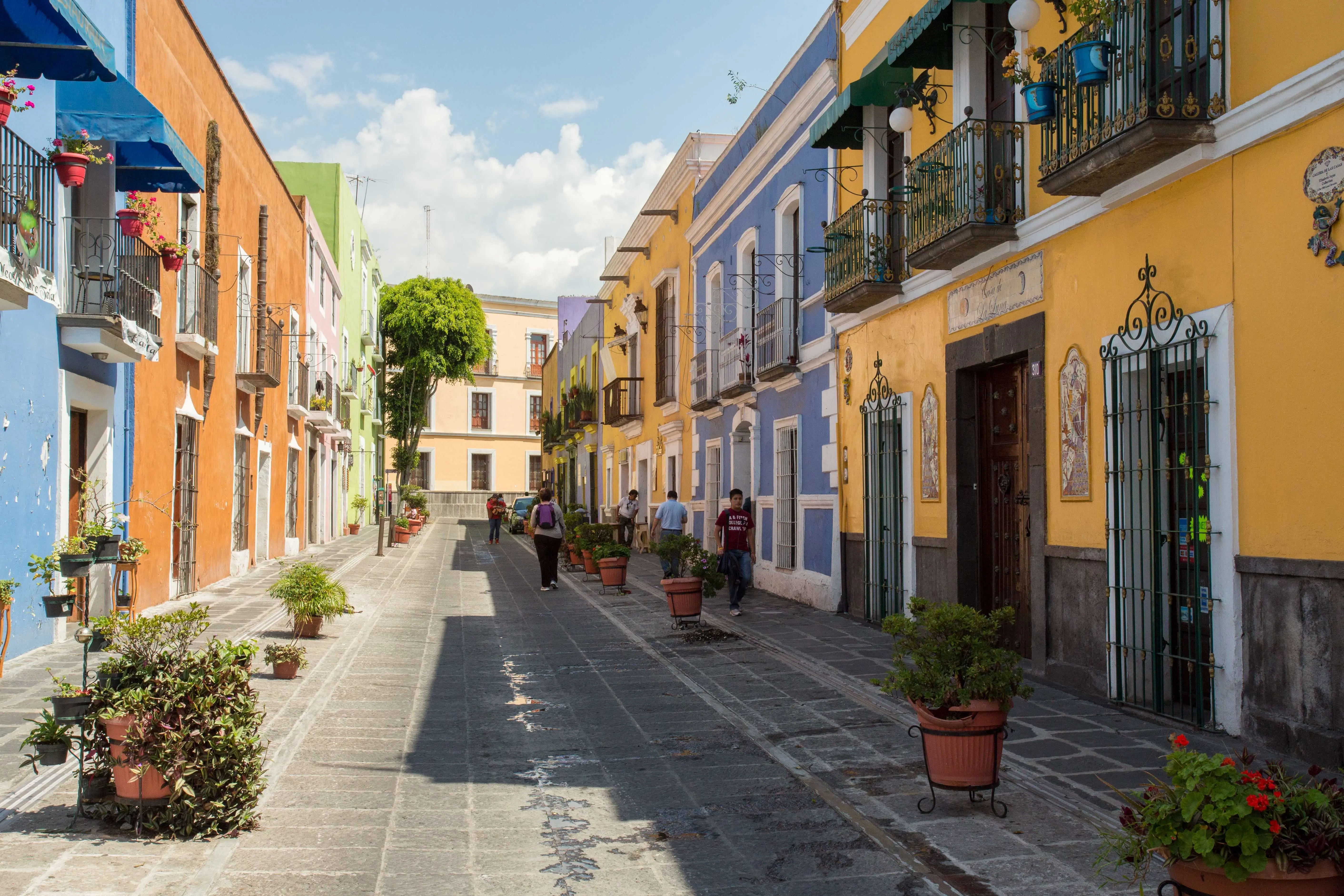 Mexico Magico