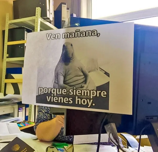 26 Personas que no se quieren parecer a nadie