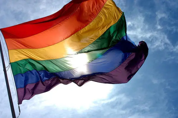 La homosexualidad y el matrimonio gay y la adopcion