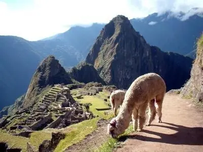 naturaleza