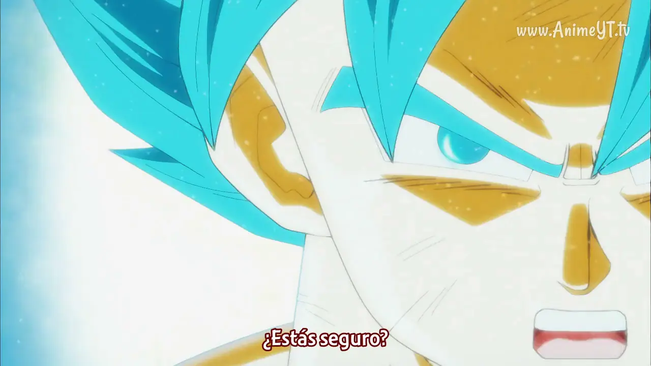 Dragon Ball S cap 120: Gohan demuestra porque es el capitan