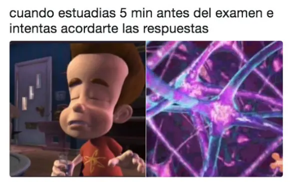 finde