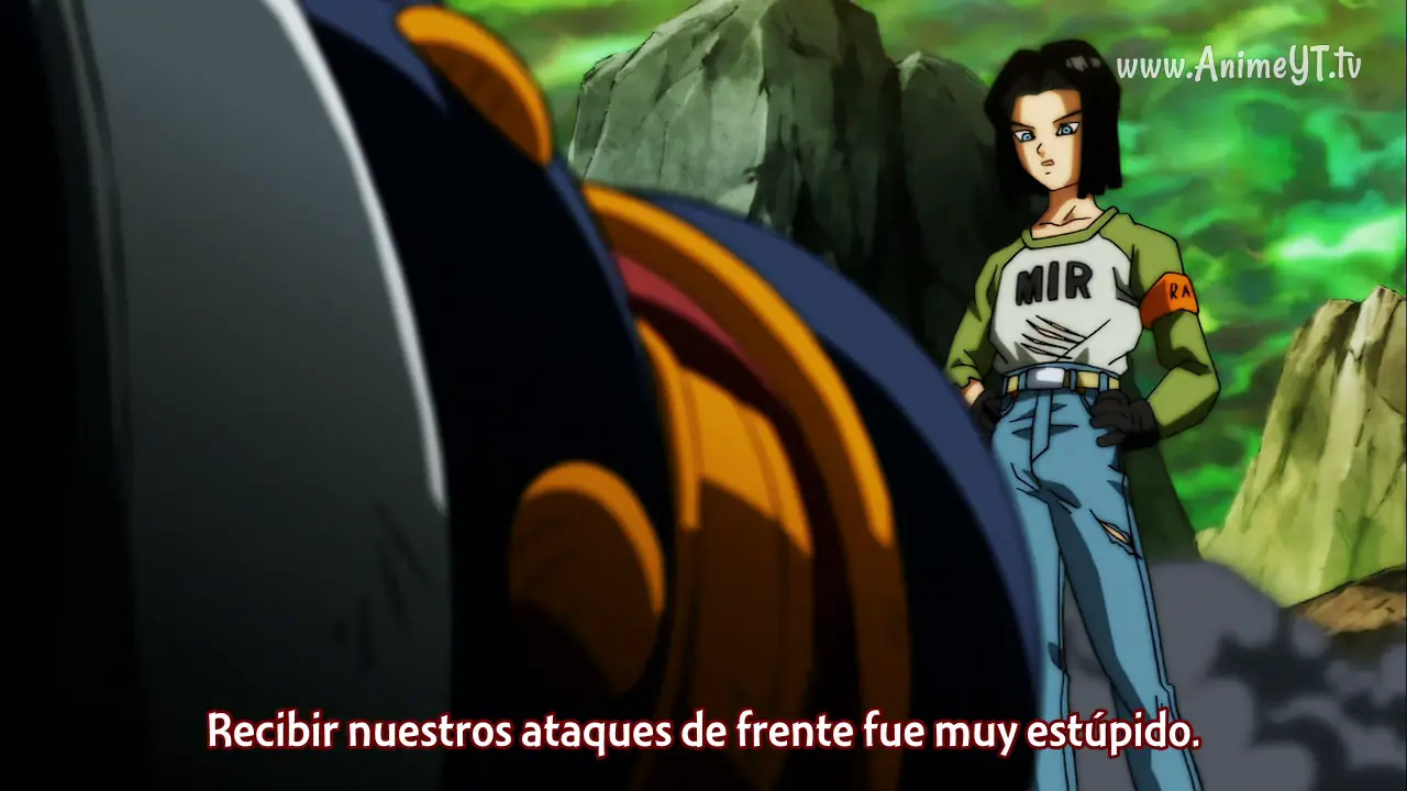 resumen