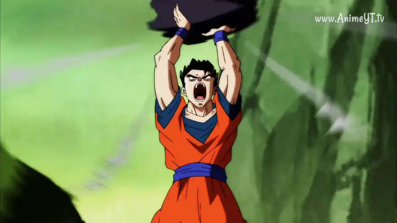 dragon ball super