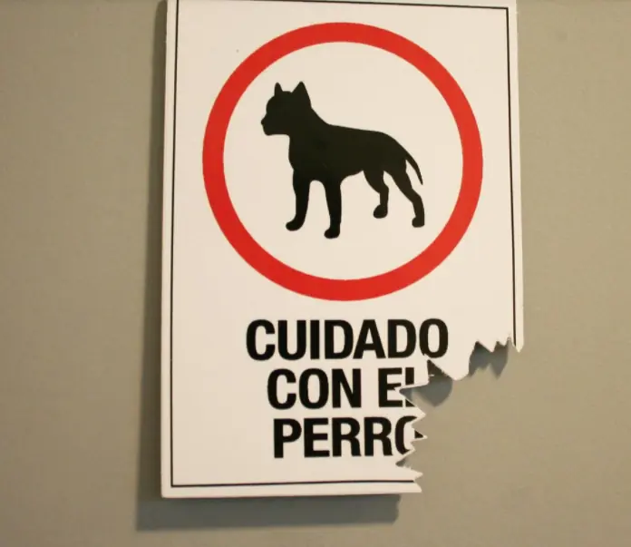 jajaja