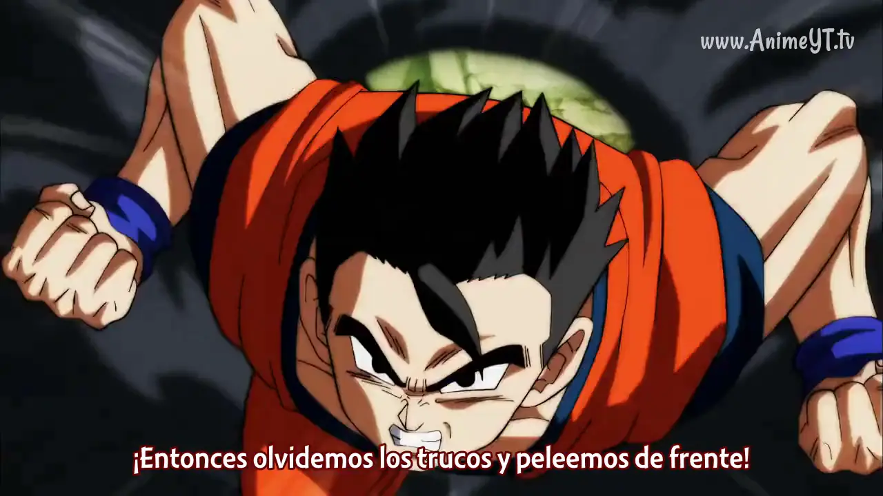 cap 120