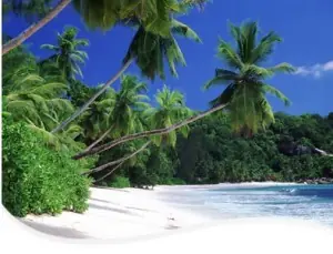 belleza plena
