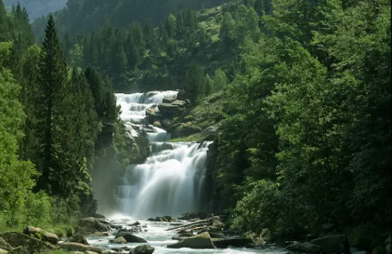naturaleza
