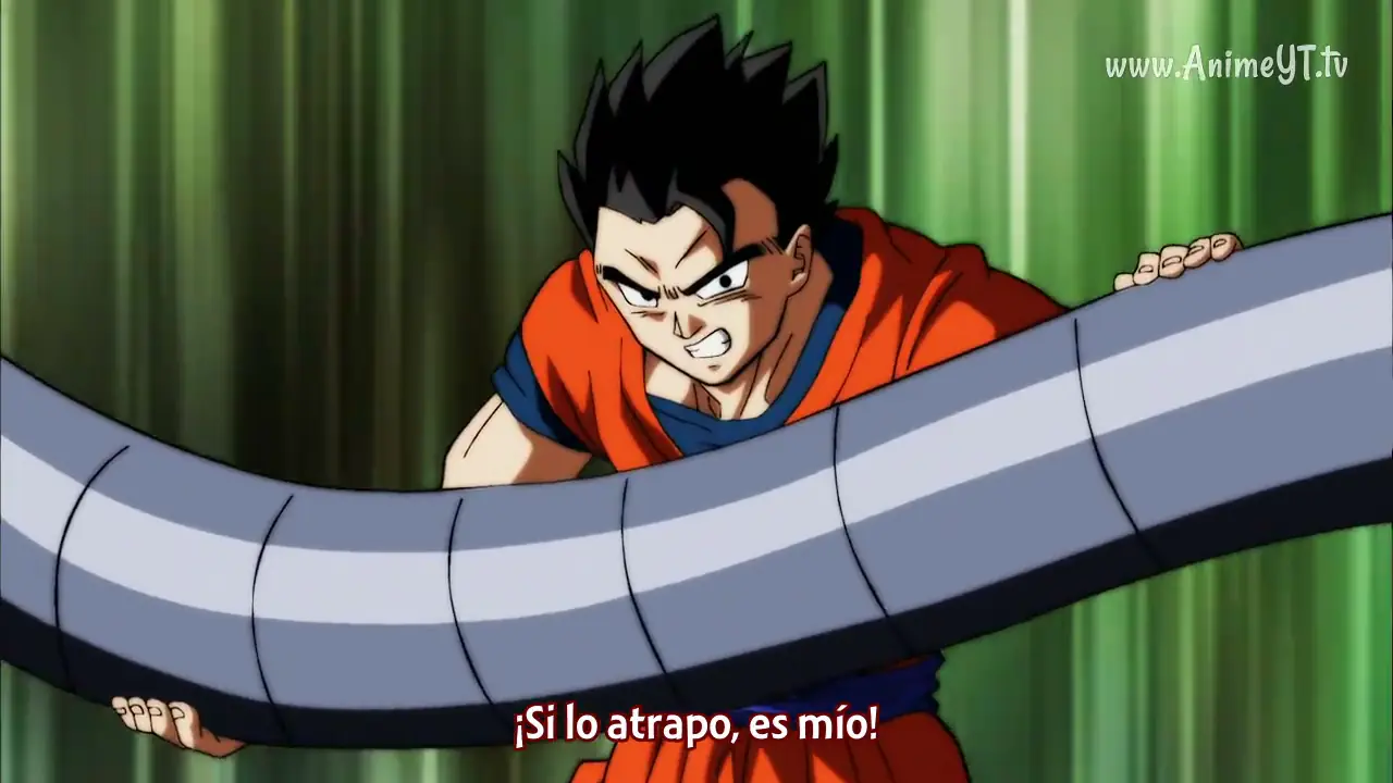 Dragon Ball S cap 120: Gohan demuestra porque es el capitan