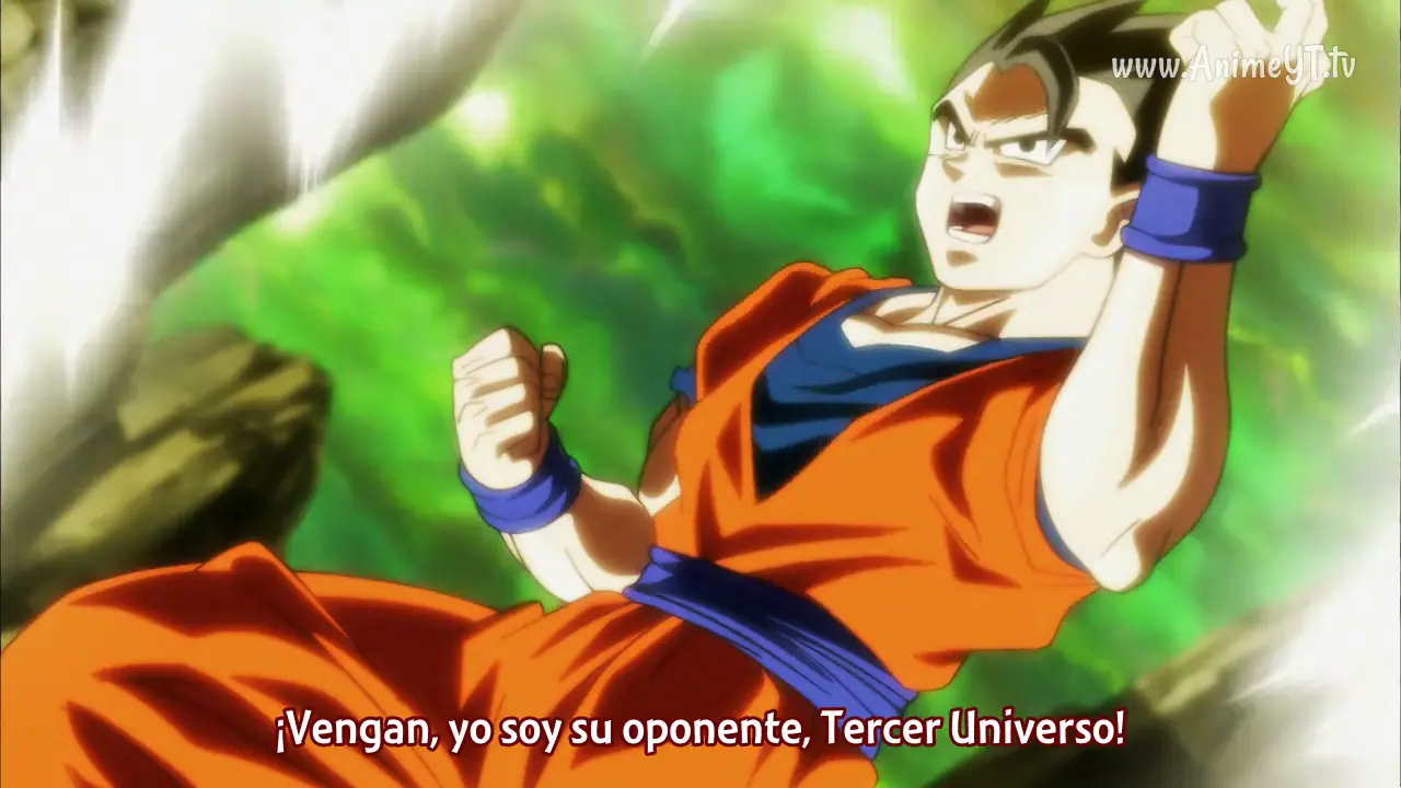 gohan
