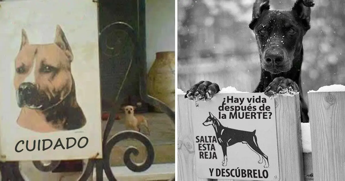 Carteles de 'cuidado con el perro' que producen.....
