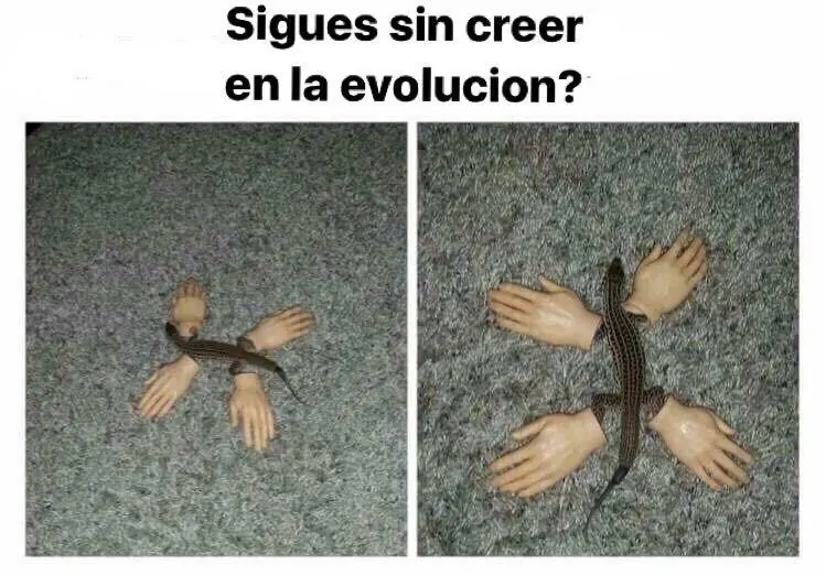 Imágenes de humor nocturno para este lunes