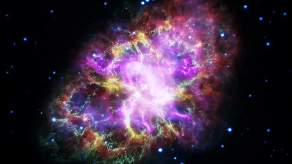 Cientificos