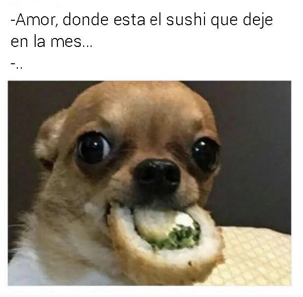 memes facebook