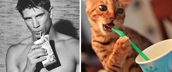 Graciosos gatos imitando poses de personas, míralos!