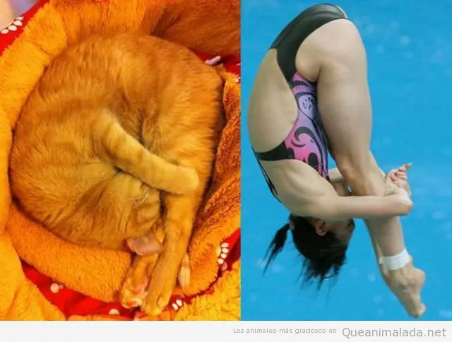 Imitando