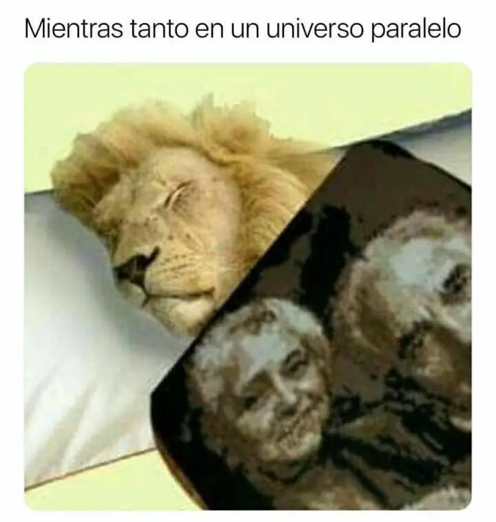 memes de facebook