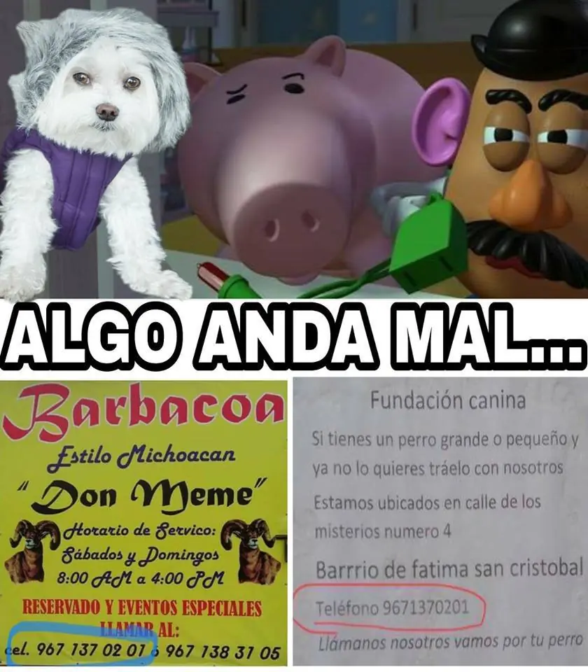 memes de facebook