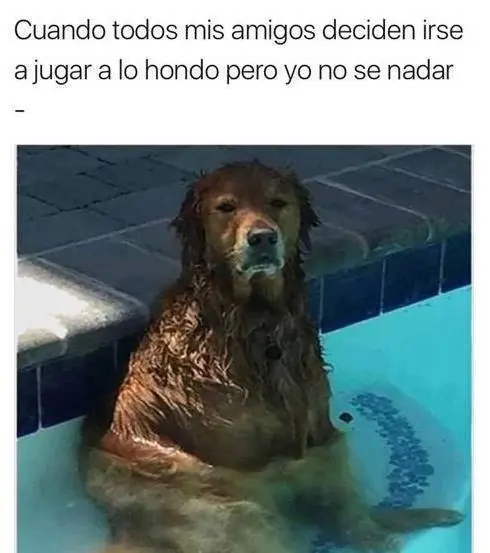 Imágenes de humor nocturno para este lunes