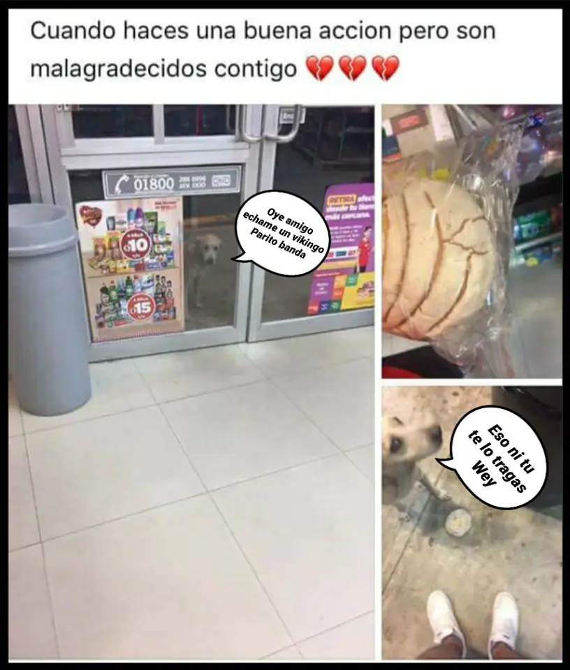mexican memes