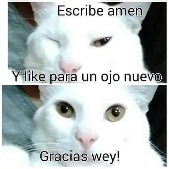 humor