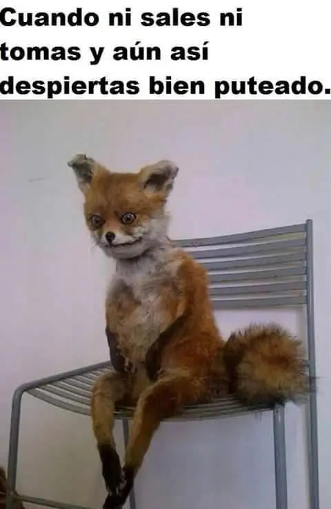 mexican memes