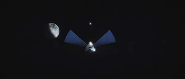 elon