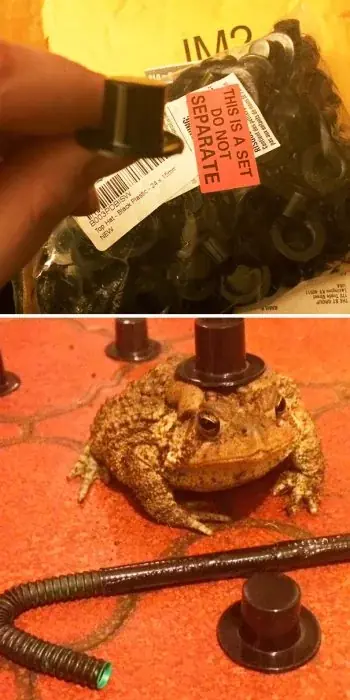 Cosas estúpidas q solo alguien MUY borracho compra en línea Cosas estúpidas q solo alguien MUY borracho compra en línea