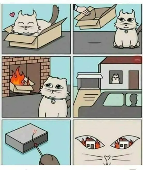 memes de facebook