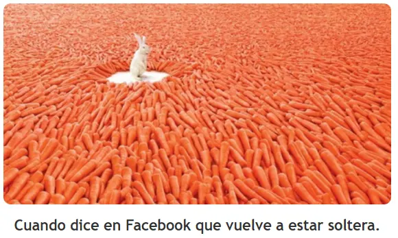 imagenes divertidas