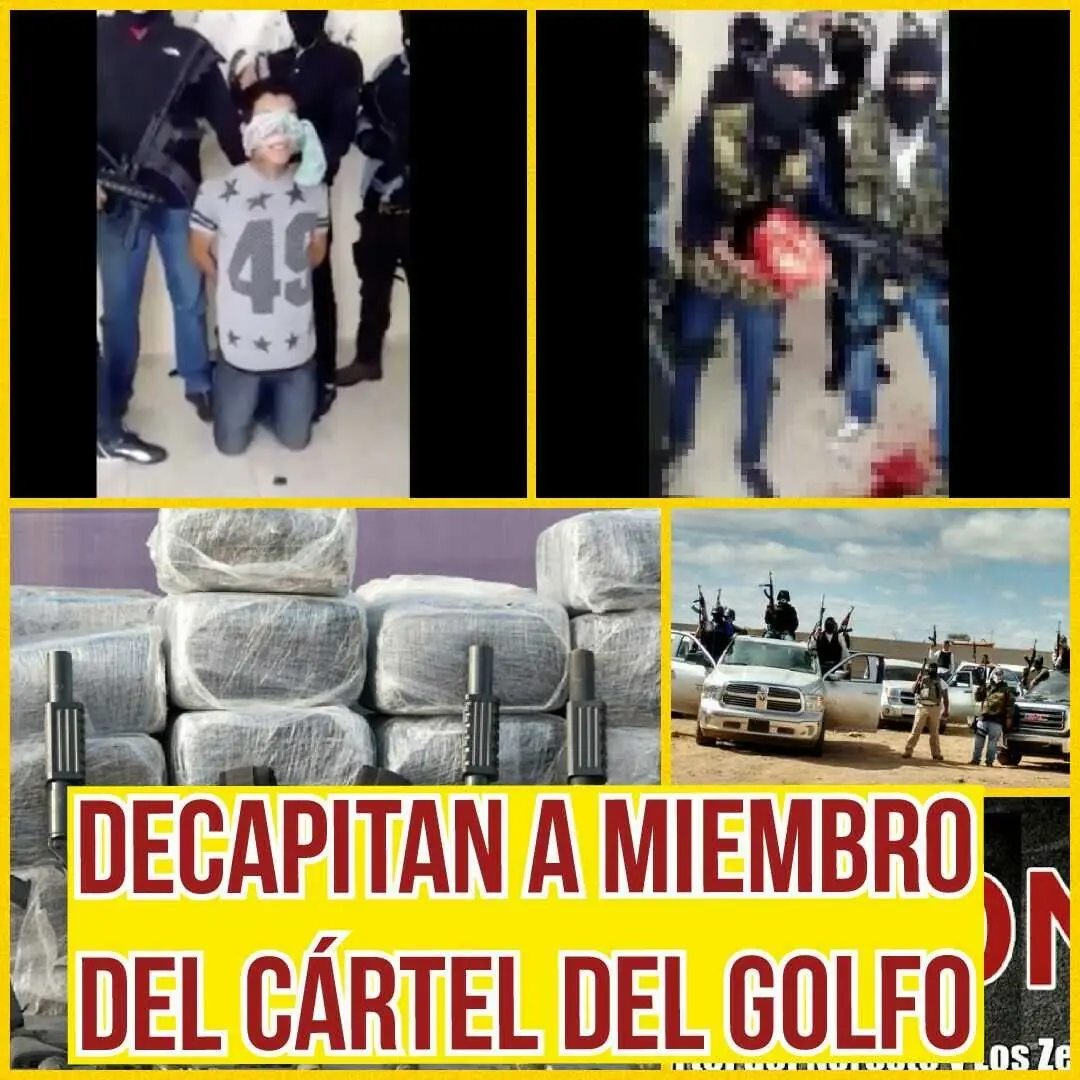 Confirmado: México es un estado fallido. Lista de cárteles