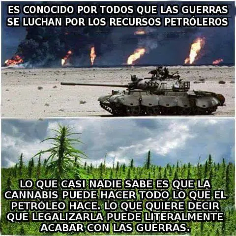 Imagenes para linces conspiranoicos (21)