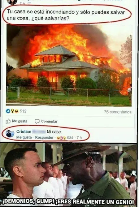 taringa
