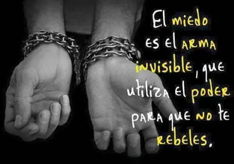 imagenes