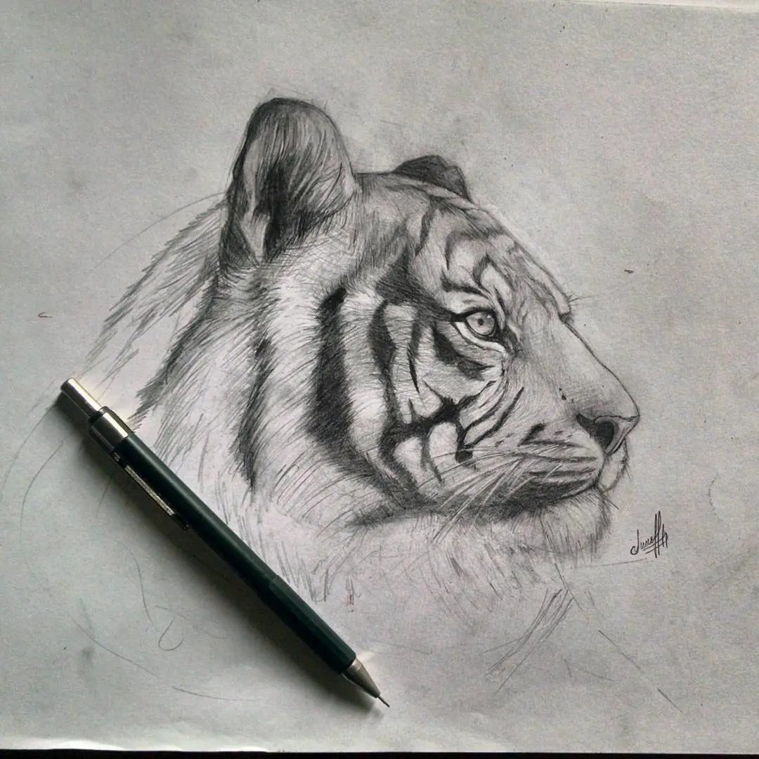 how to draw