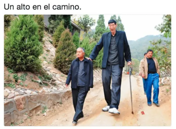 taringa
