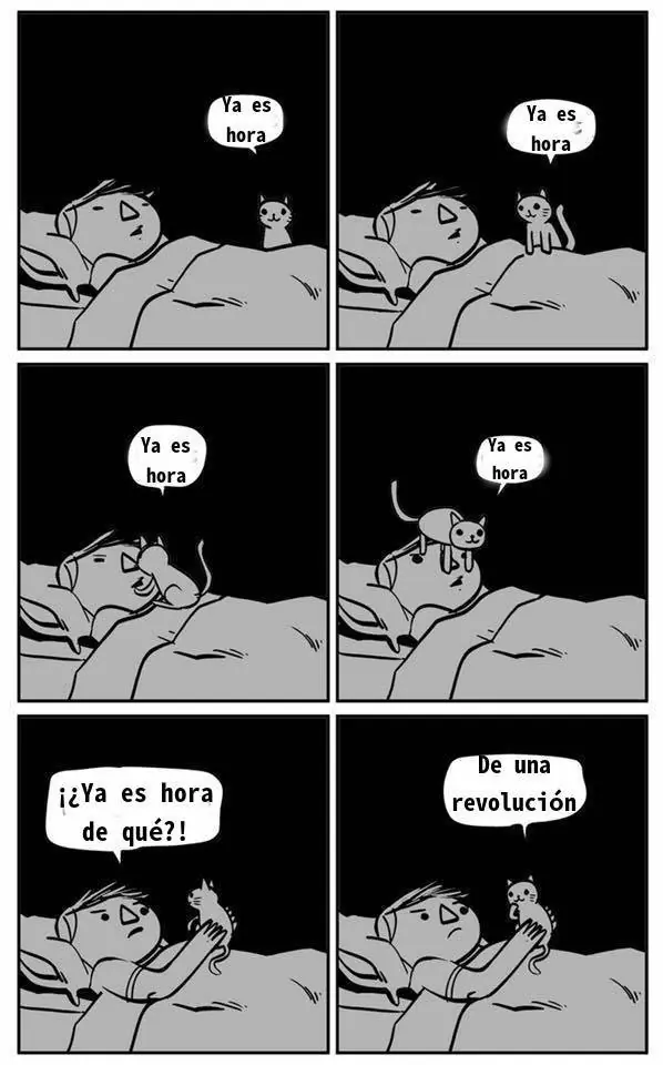 conspiranoicos