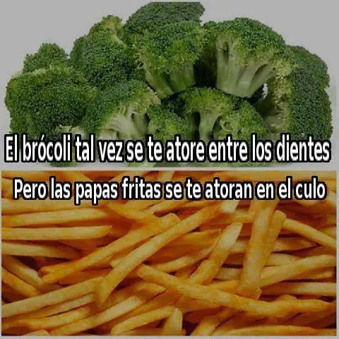 linces